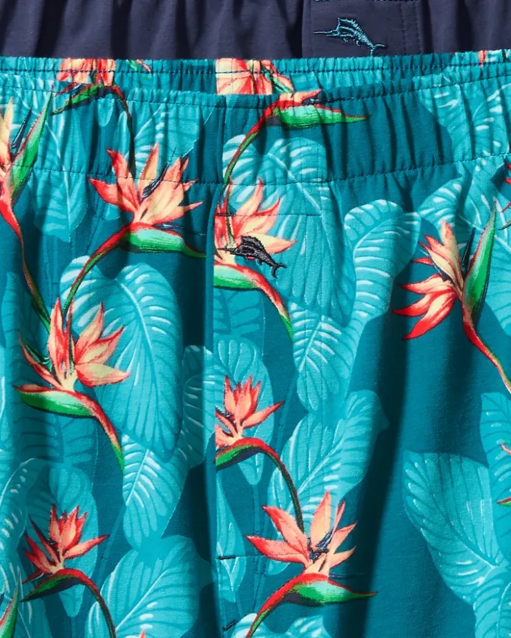 Tommy Bahama Underwear<Big & Tall Tropical Print & Solid Knit Boxers—2-Pack
