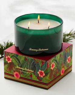 Tommy Bahama Candles & Diffusers<14.5-oz. Boxed 3-Wick Candle