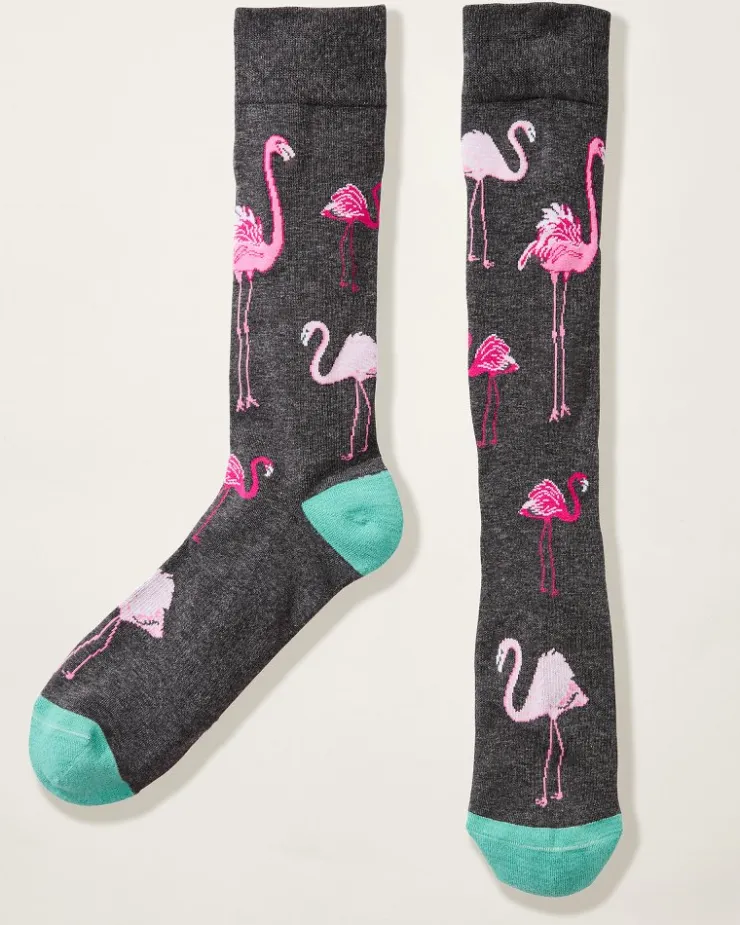 Tommy Bahama Socks<Let's Flamingle Socks