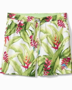 Tommy Bahama Swim & Boardshorts<Men's Calypso Fronds 6-Inch Board Shorts