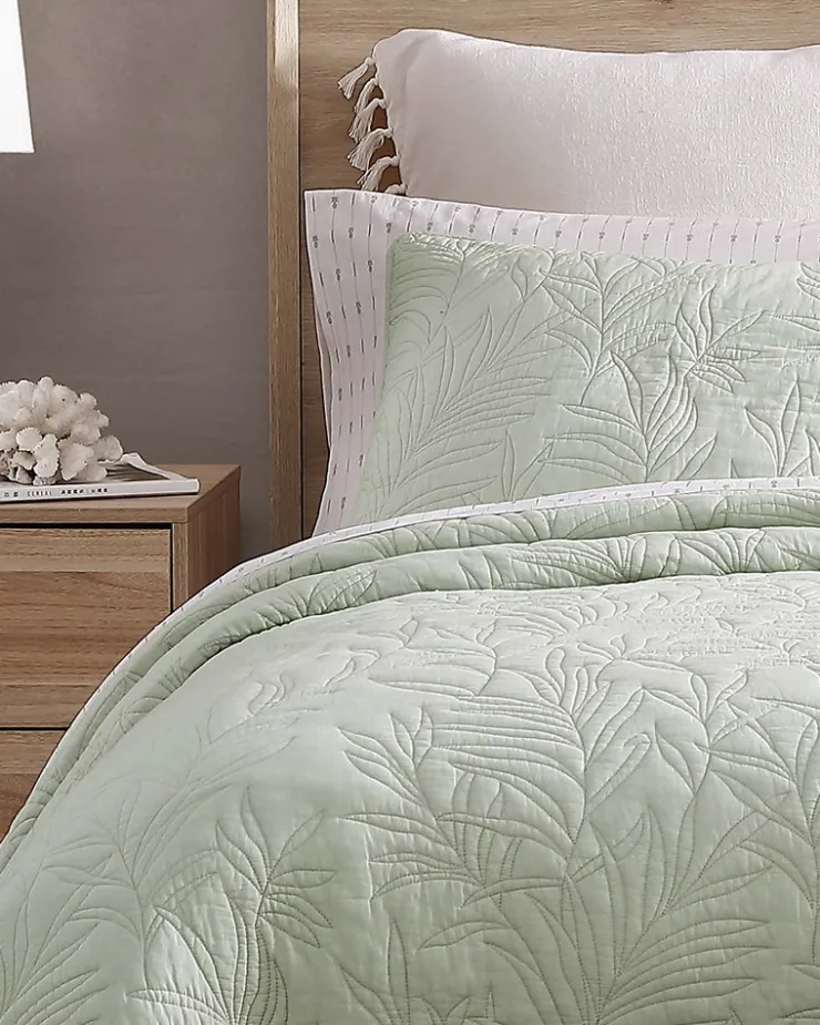 Tommy Bahama Pillows & Shams<Solid Costa Sera 2-Piece Standard Quilted Sham Set